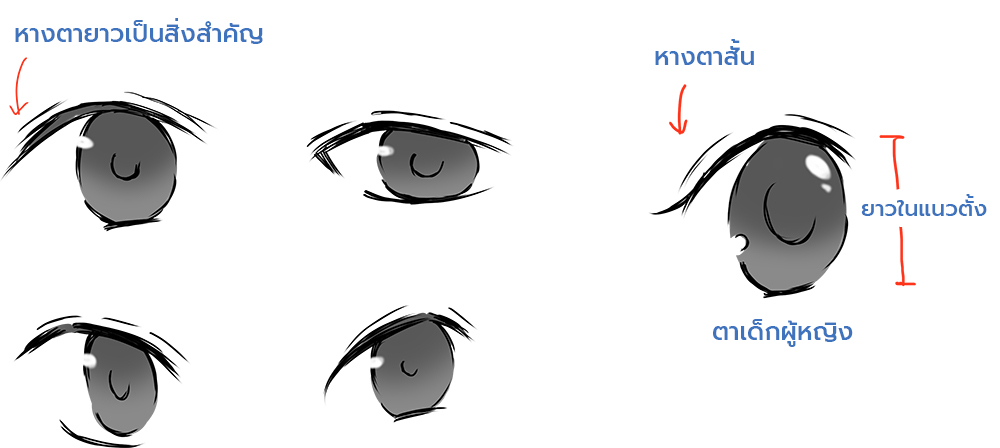 วิธีวาดหนุ่มหล่อ ตา