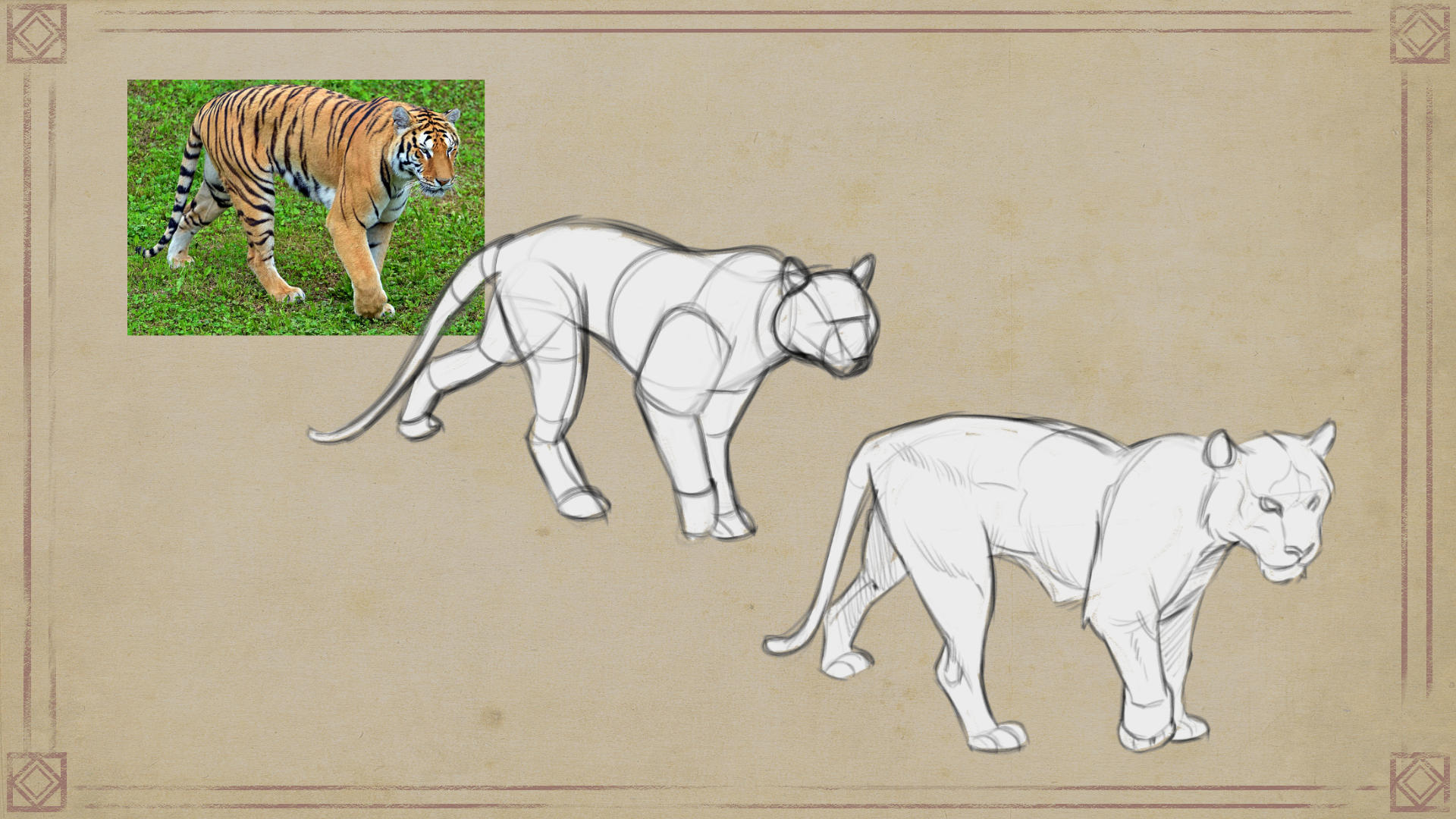 take inspiration from felines