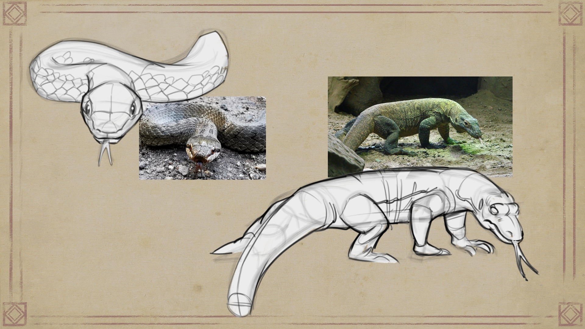 reptiles as inspiration